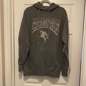 Gray Men's Hoodie